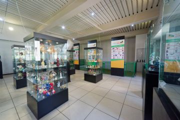 Sfoglia la galleria
